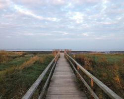 Aussicht auf das Watt, auf Föhr, auf den Himmel