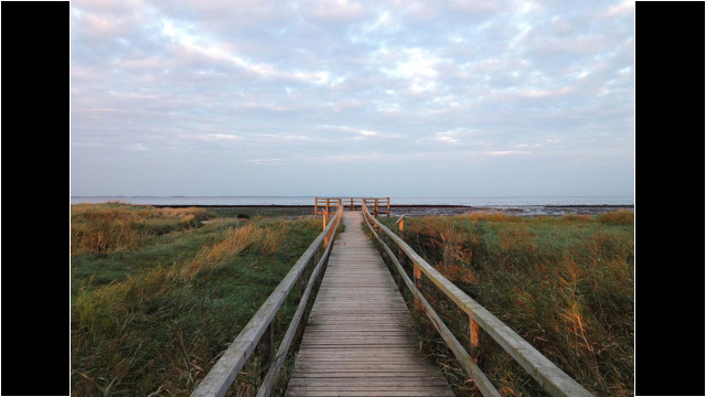 Aussicht auf das Watt, auf Föhr, auf den Himmel
