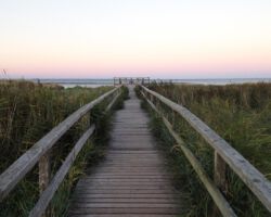 In der Abenddämmerung