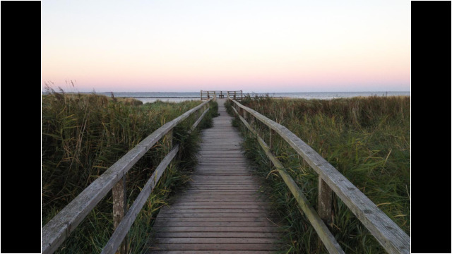 In der Abenddämmerung