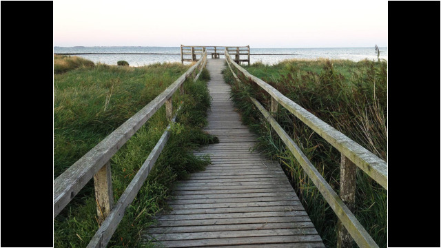 Steg in Grün und Blau gehüllt