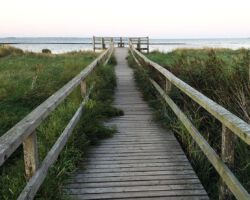 Steg in Grün und Blau gehüllt