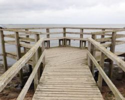 Hölzerner Steg, bleierner Himmel