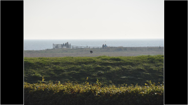 Aussichtssteg im Dunst